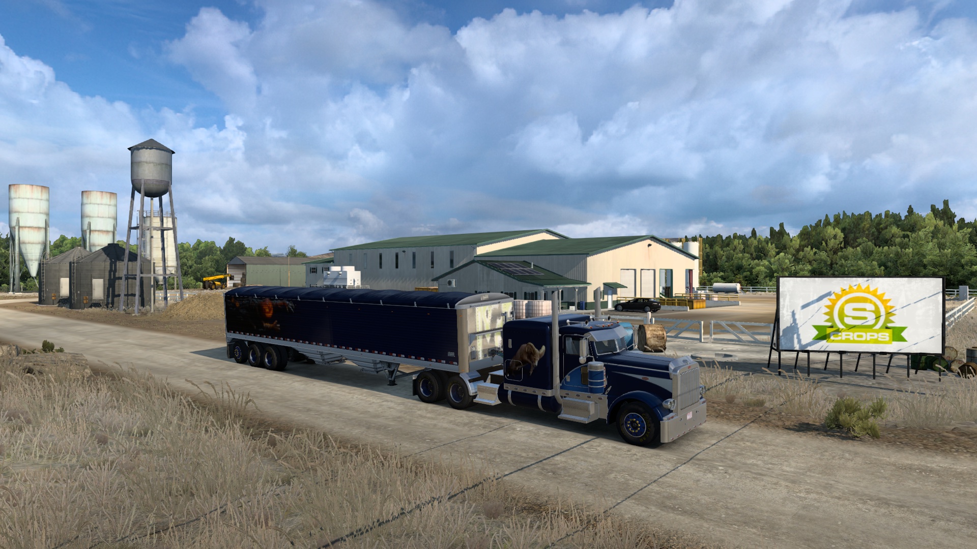 Image by dracoforever3