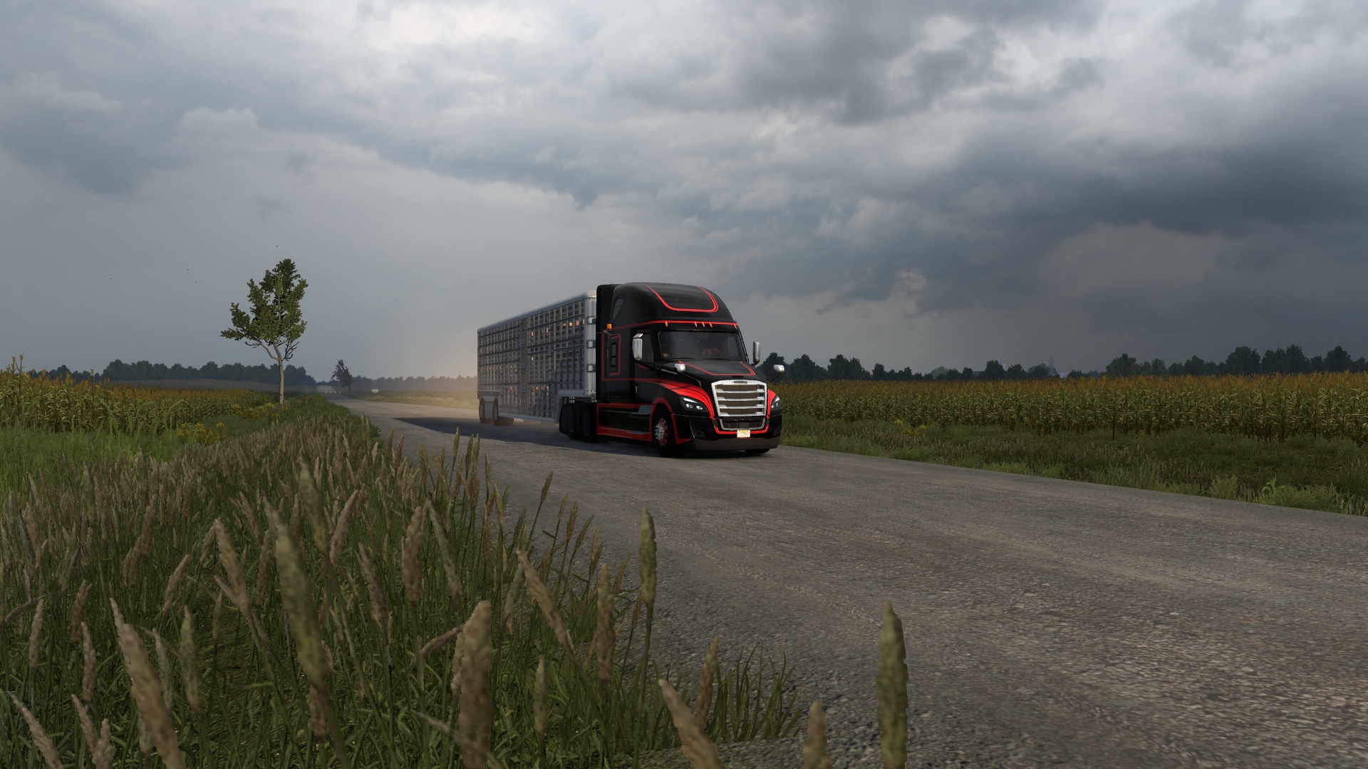 Image by romario_jose_30