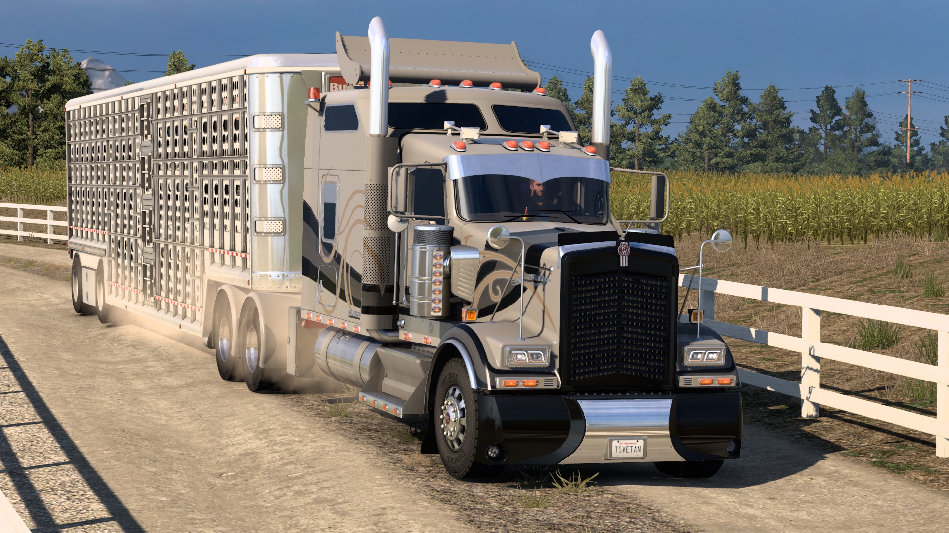 Image by Hadzhiev7WDL