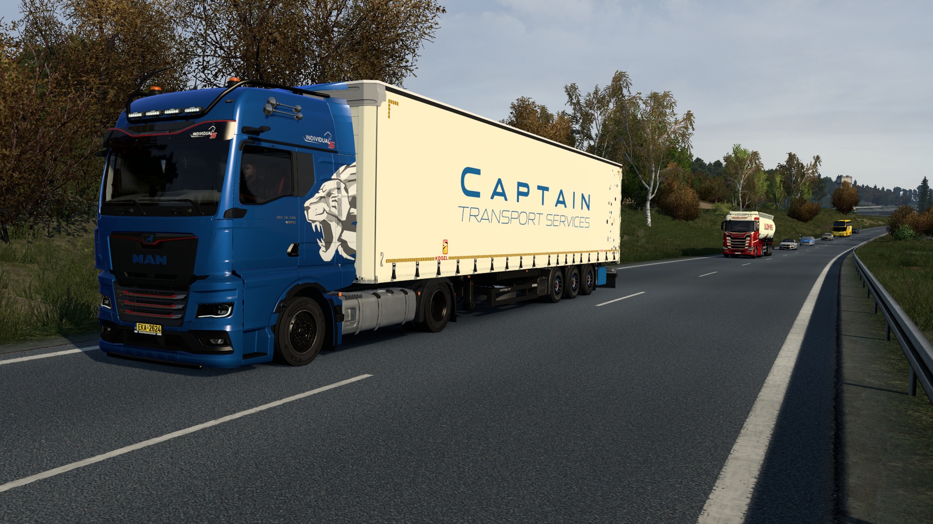 Image by Captain_Dim