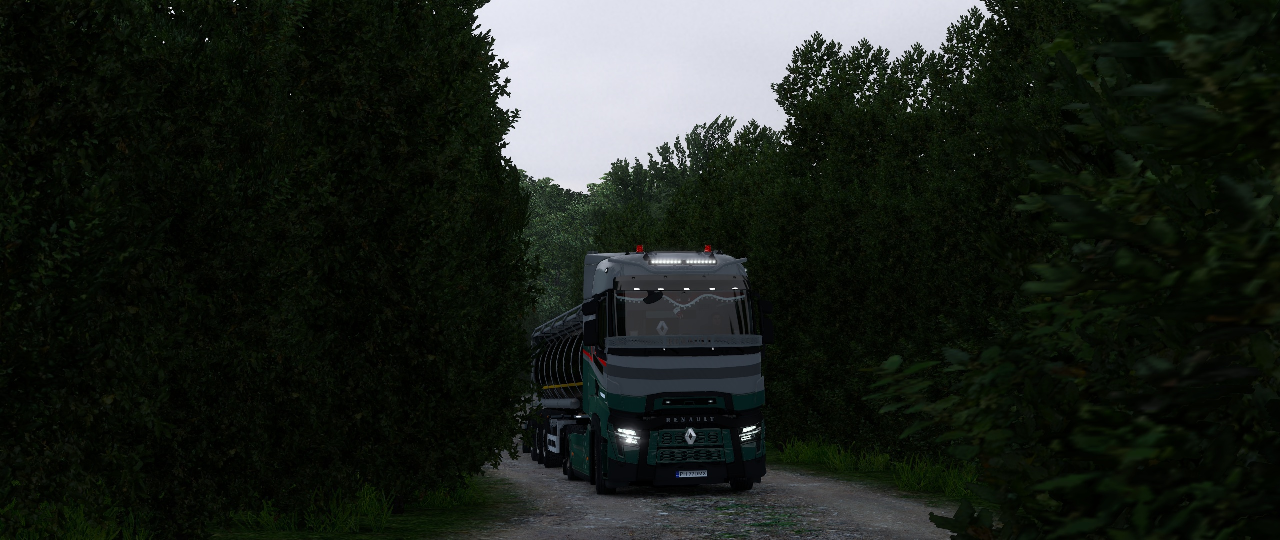 Image by damiendias1