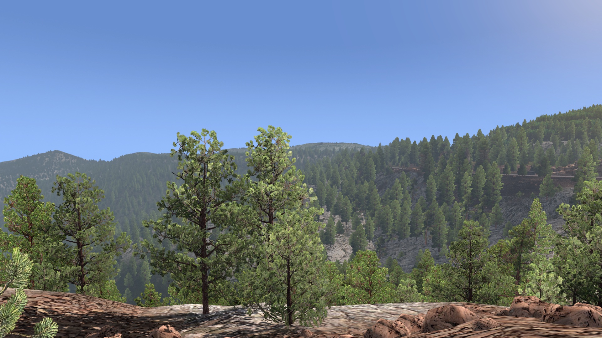 Image by TadziKolekcjoner