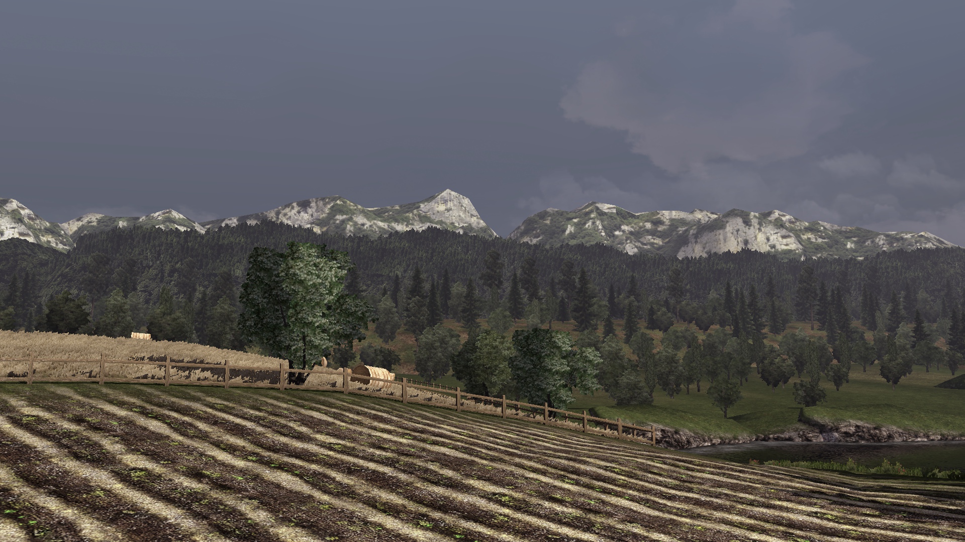 Image by MichaelGordon