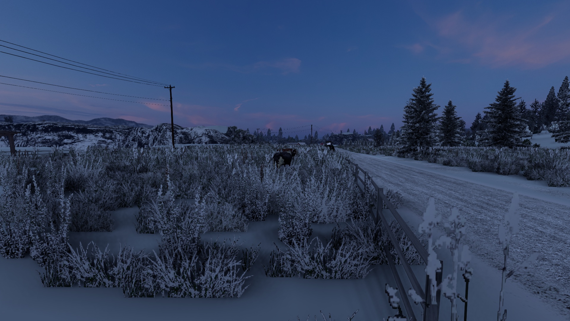 Image by katarzyna1275