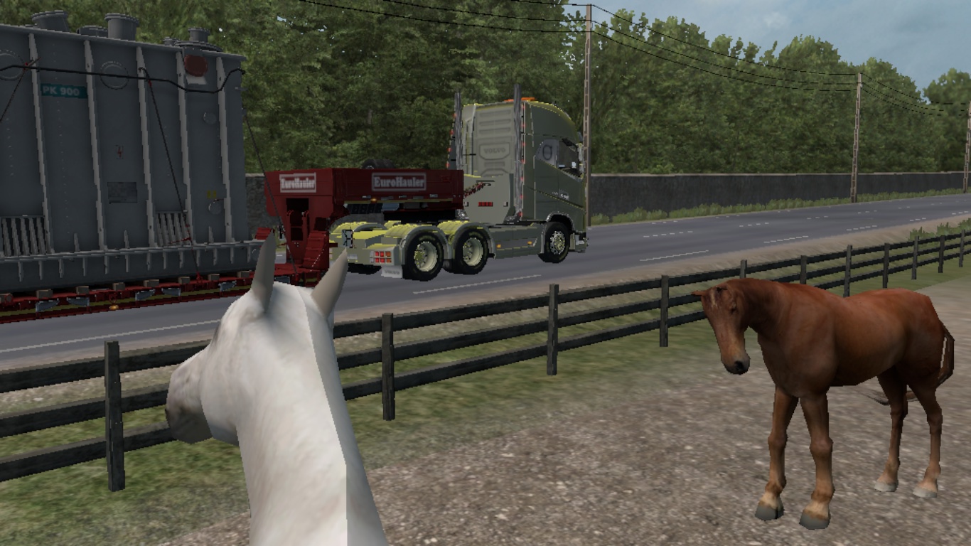 Image by andresbolso11