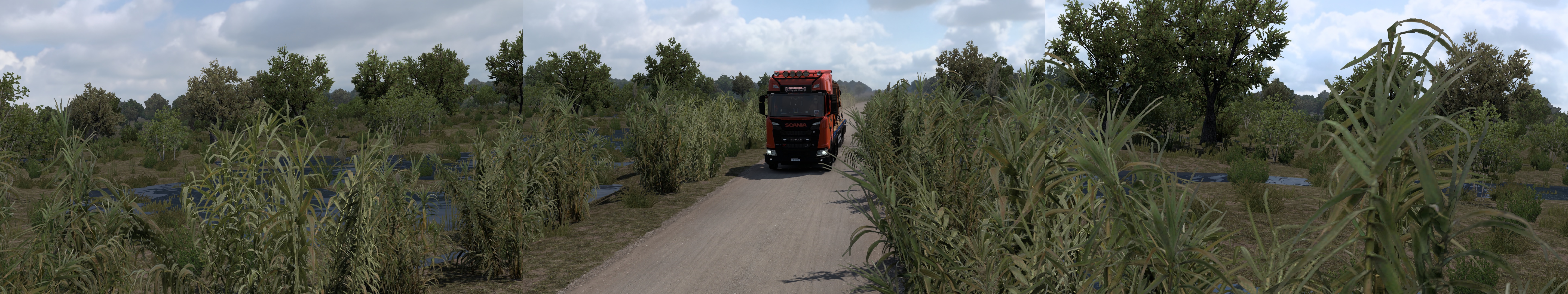 Image by Nebuchadnezzar