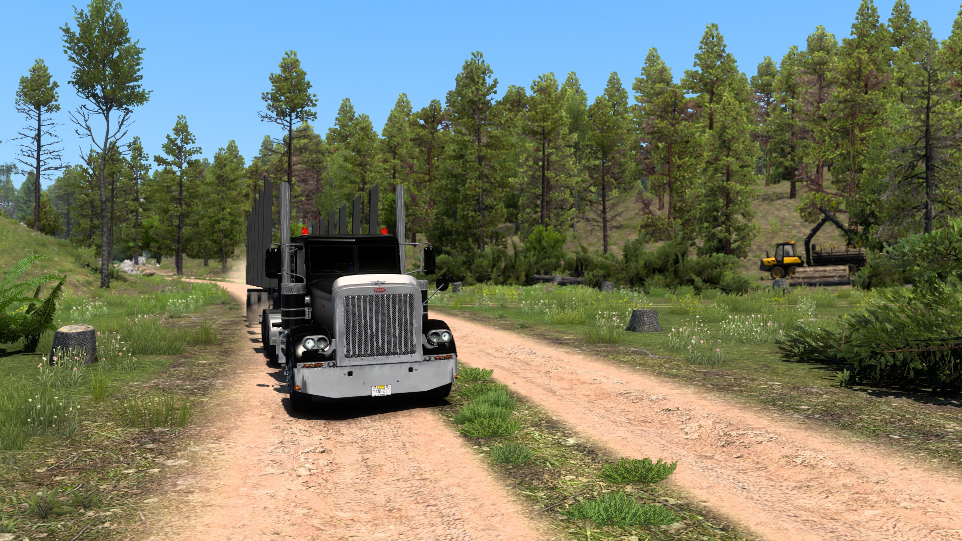 Image by guiguigodro