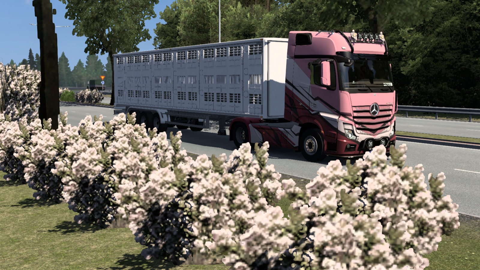 Image by thomasthamrt