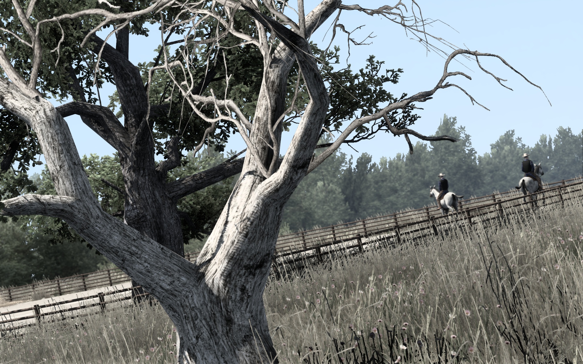 Image by mesu