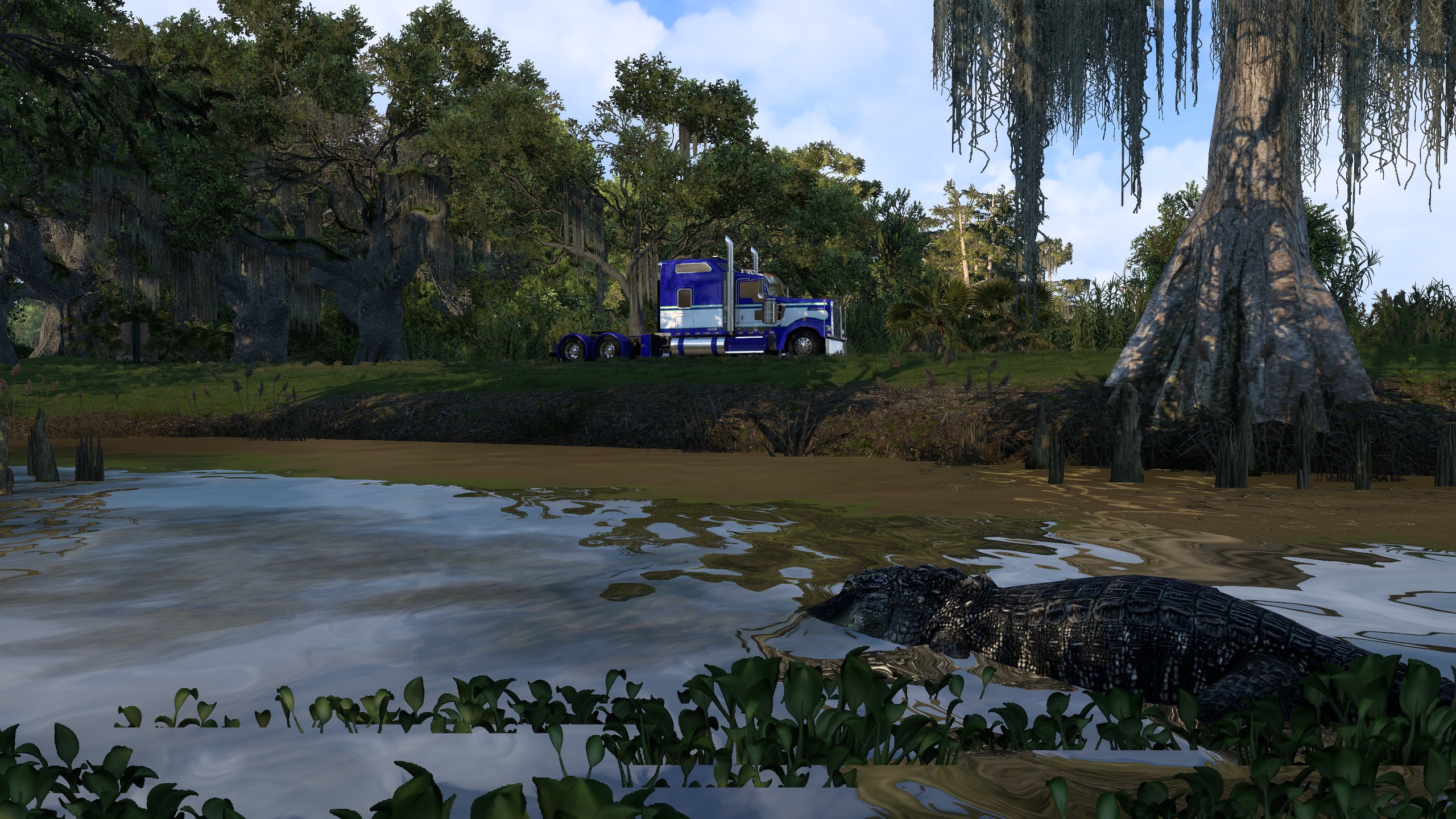 Image by MoeTrucking