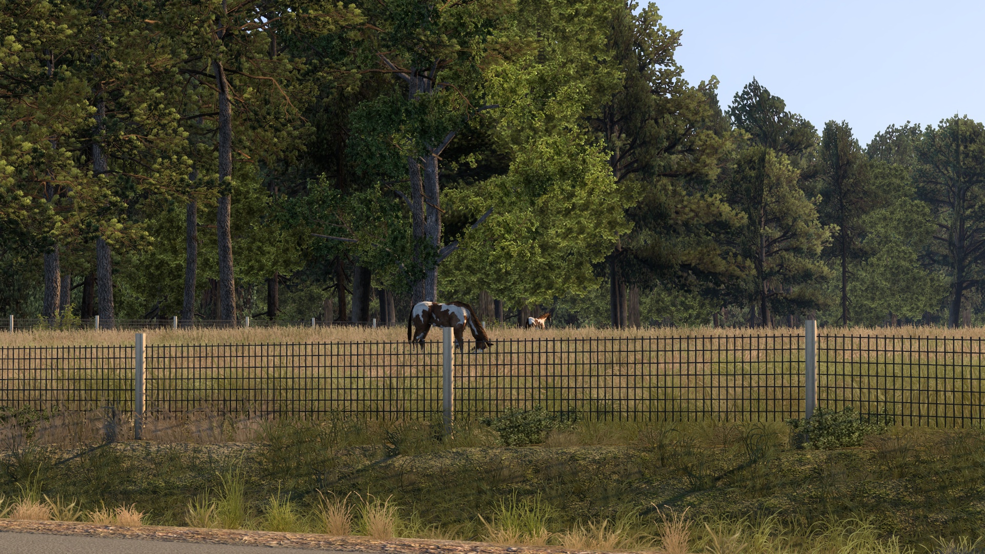 Image by manticor666