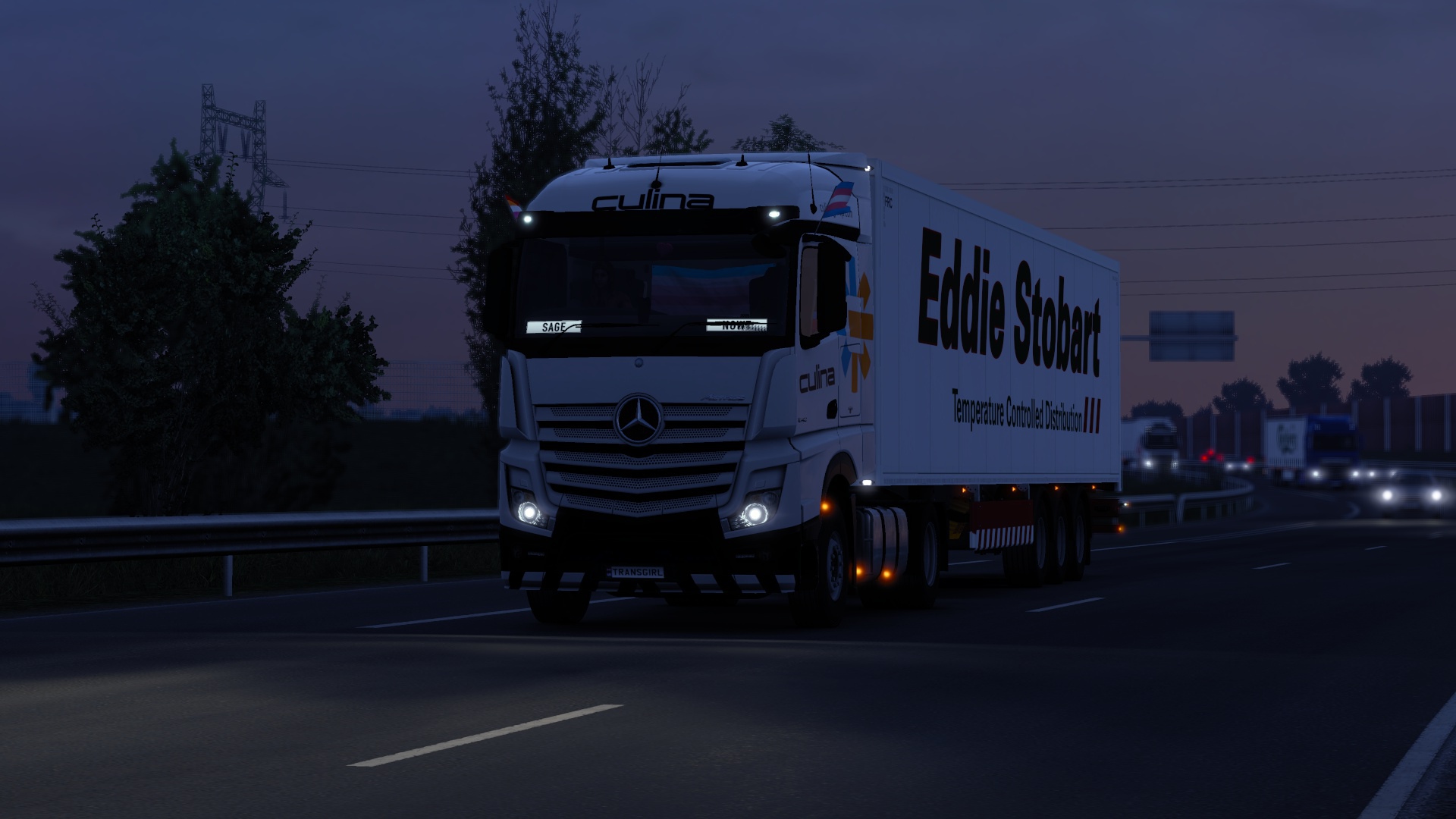 Image by Sage_TransGirl