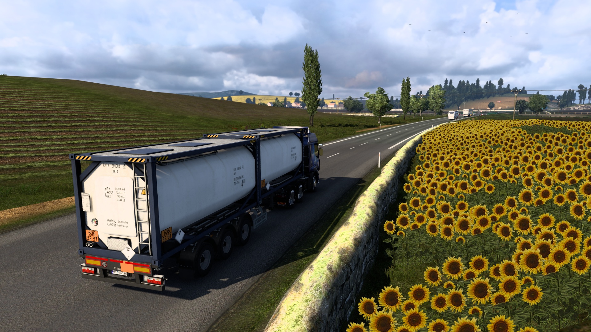 Image by 6tortuguita