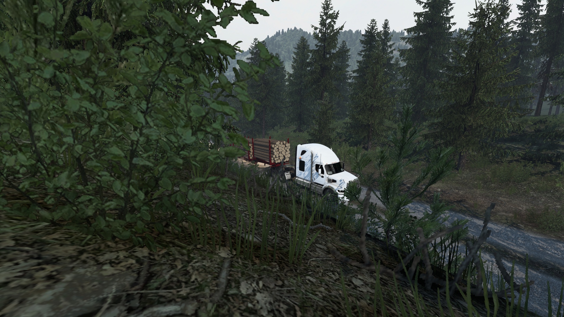 Image by 123456789qw