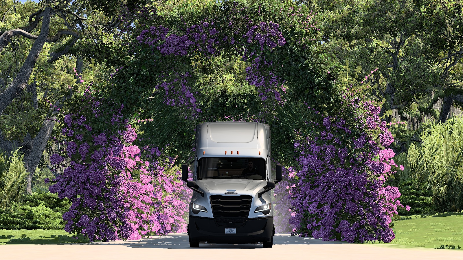 Image by foilthefool