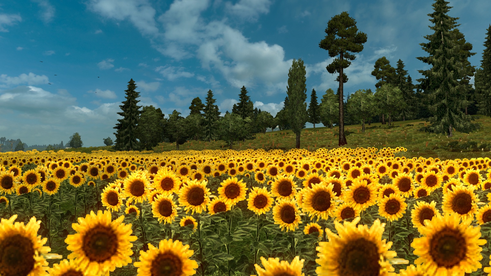 Image by FoxInWonderland