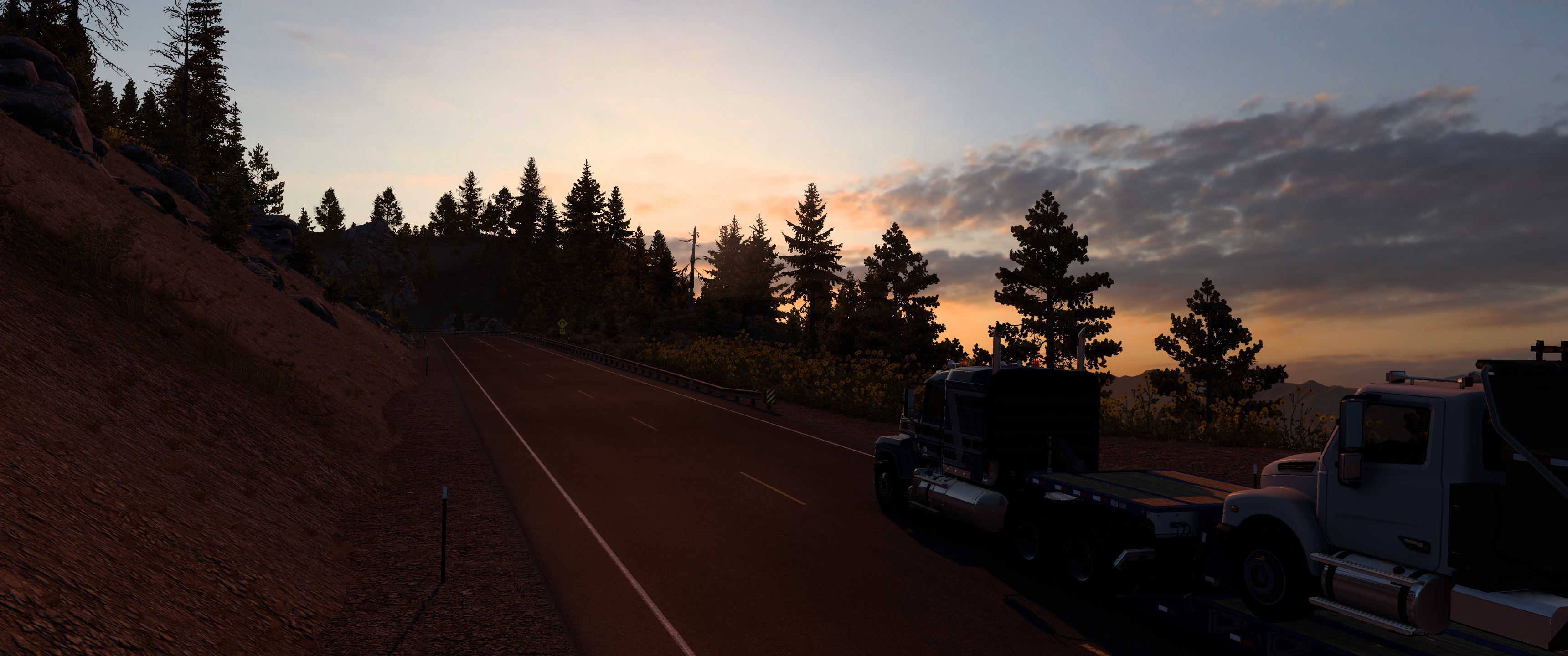 Image by SHANEGARDNER1