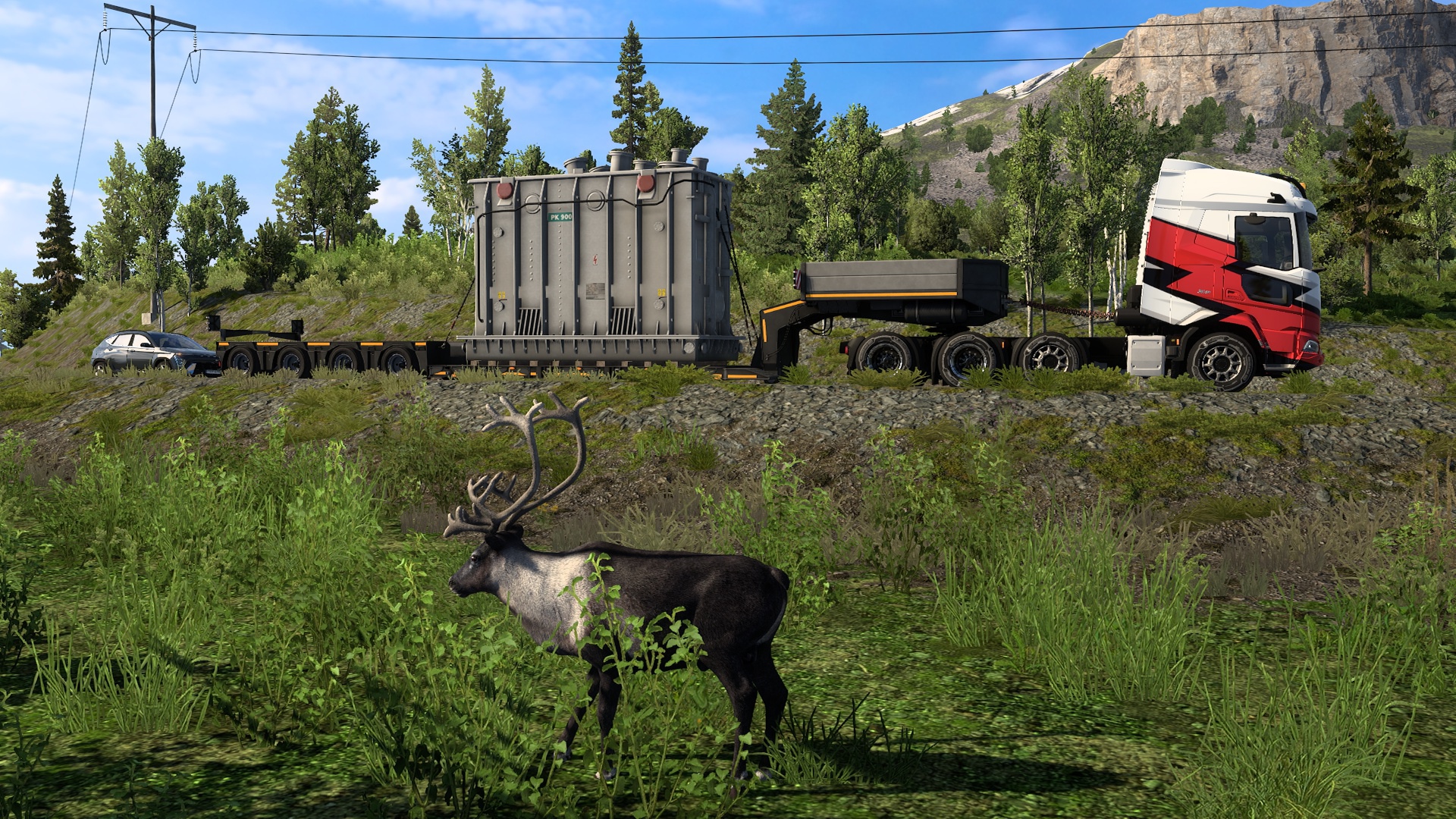 Image by tijdreiziger