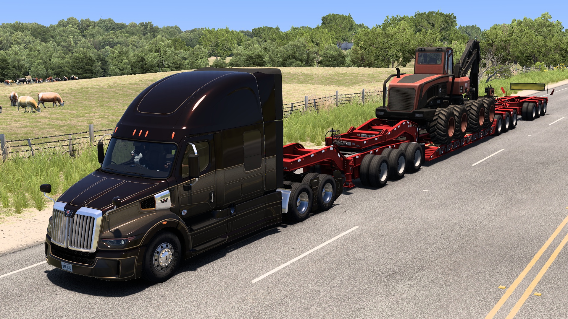 Image by BUDSPENCER48