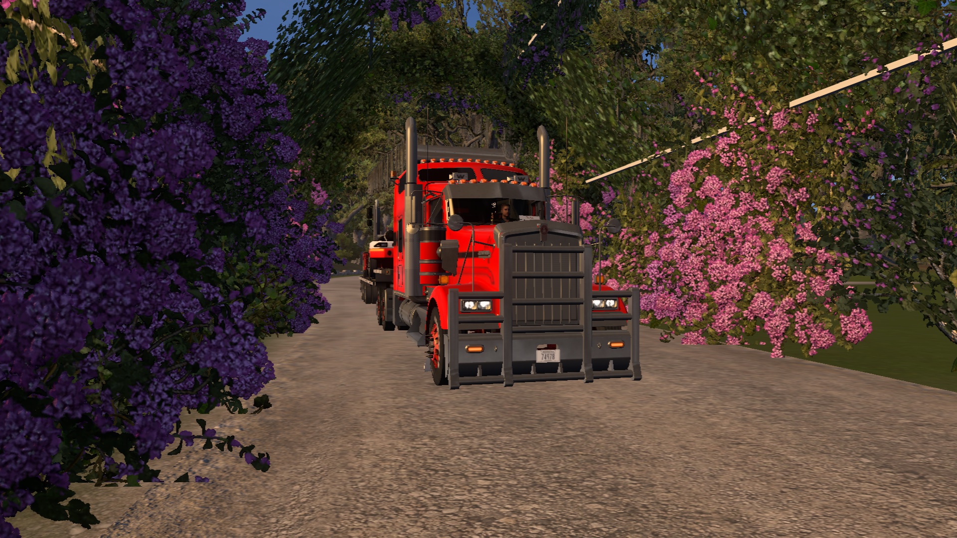 Image by B_N_Reasonable