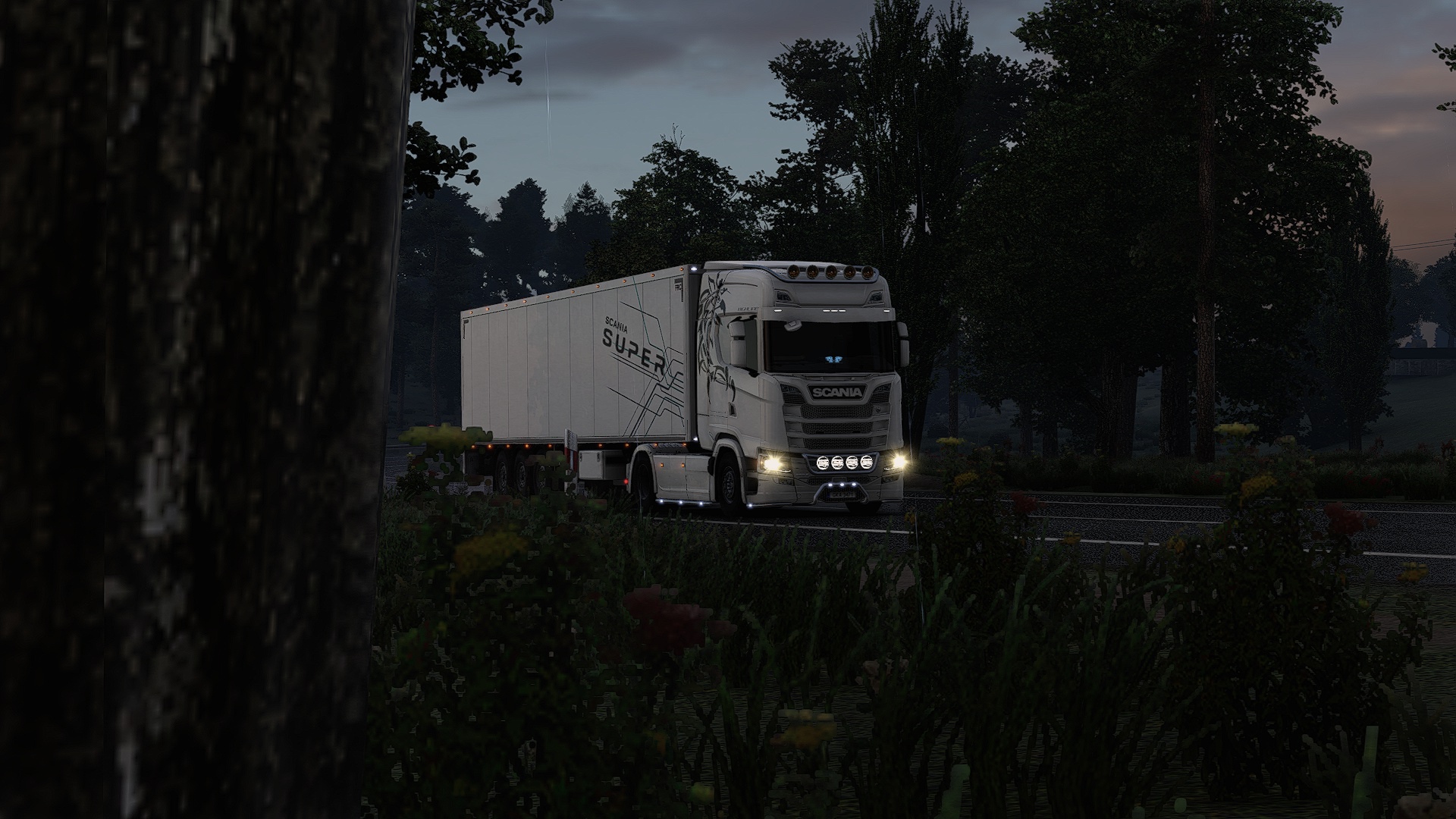 Image by Dominik24142