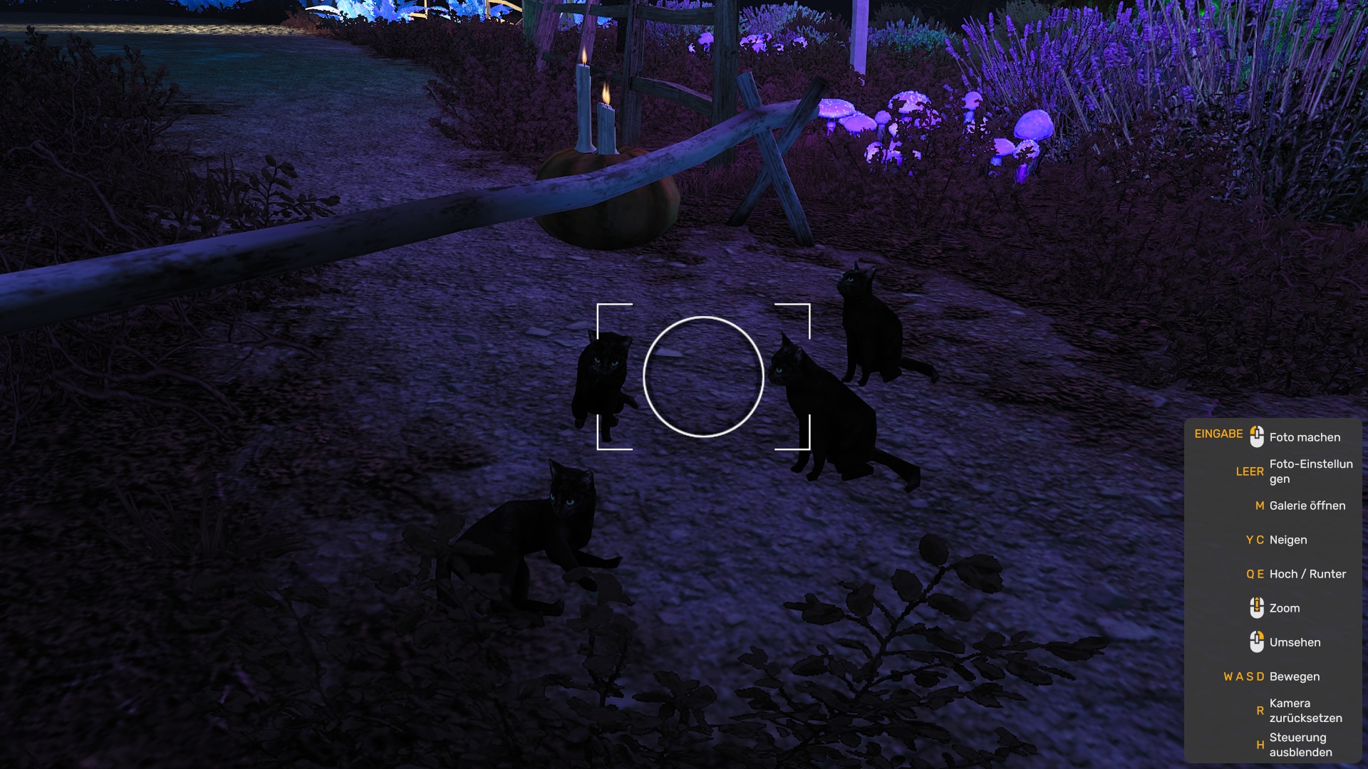 Image by Schlaumeier