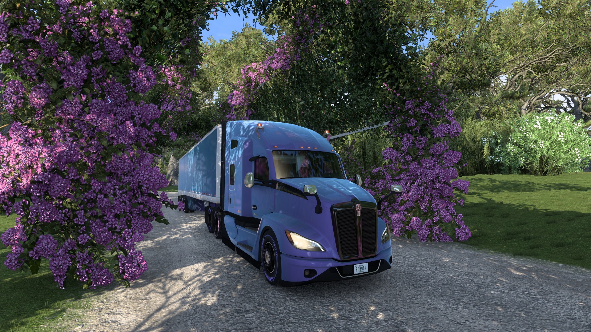 Image by LilacBleeds