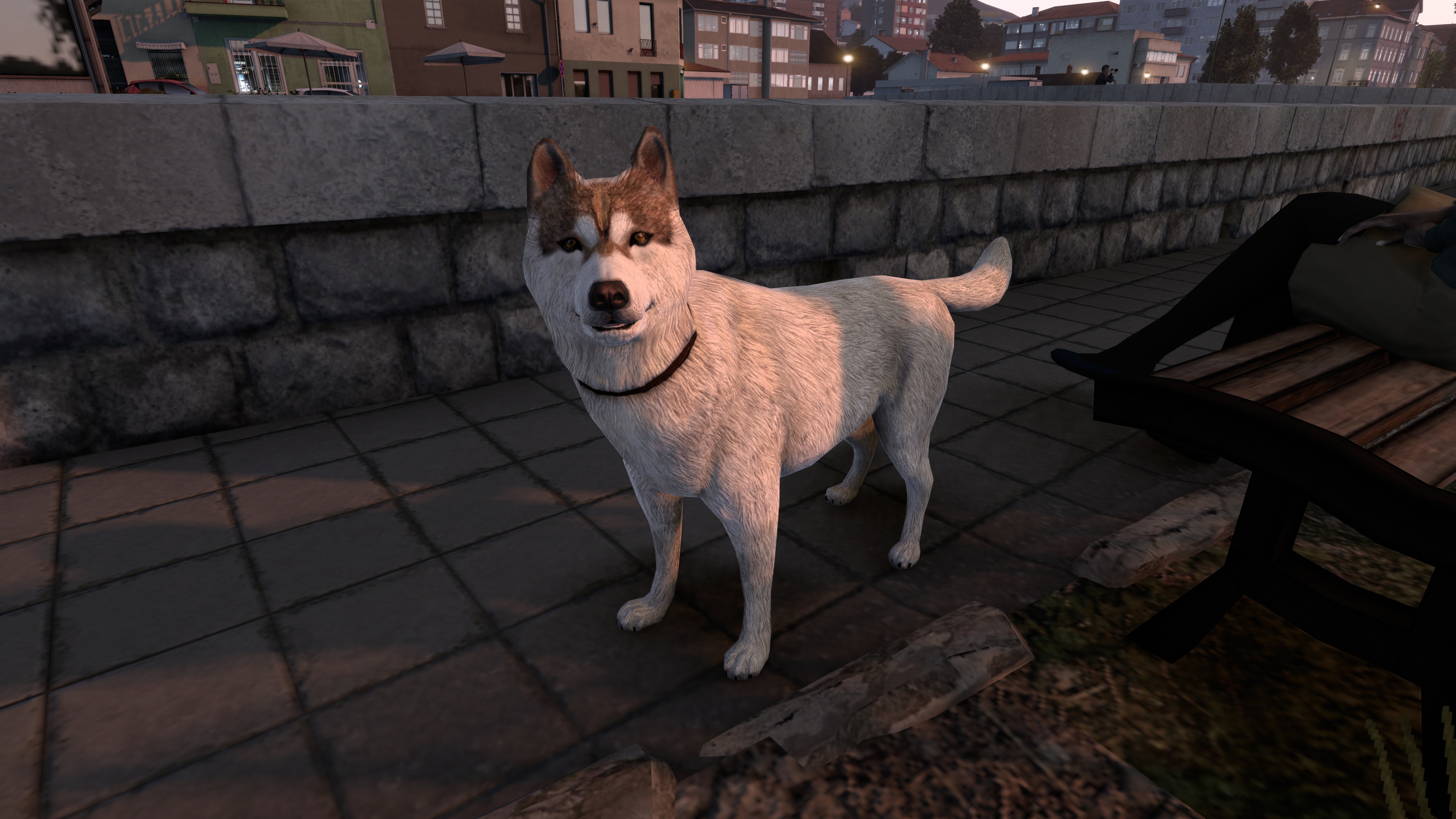 Image by tino_moser_999