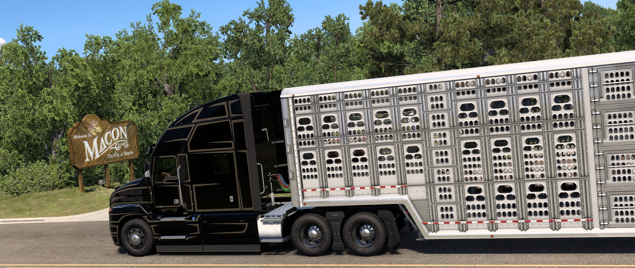 Image by madrugagato