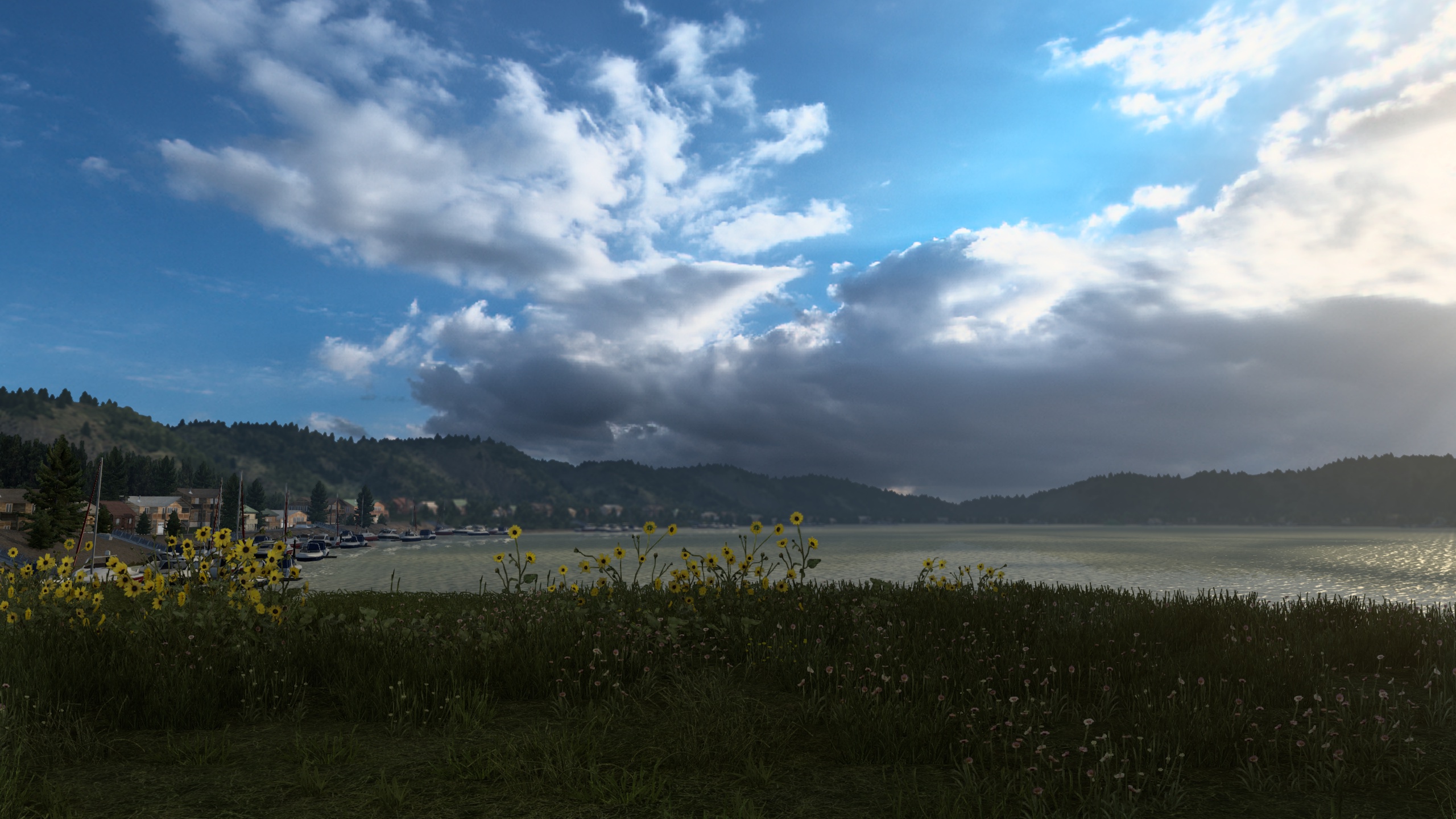 Image by mhansli1993