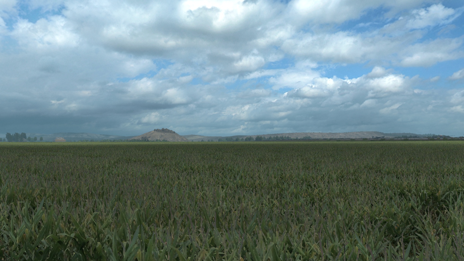 Image by sergei010174