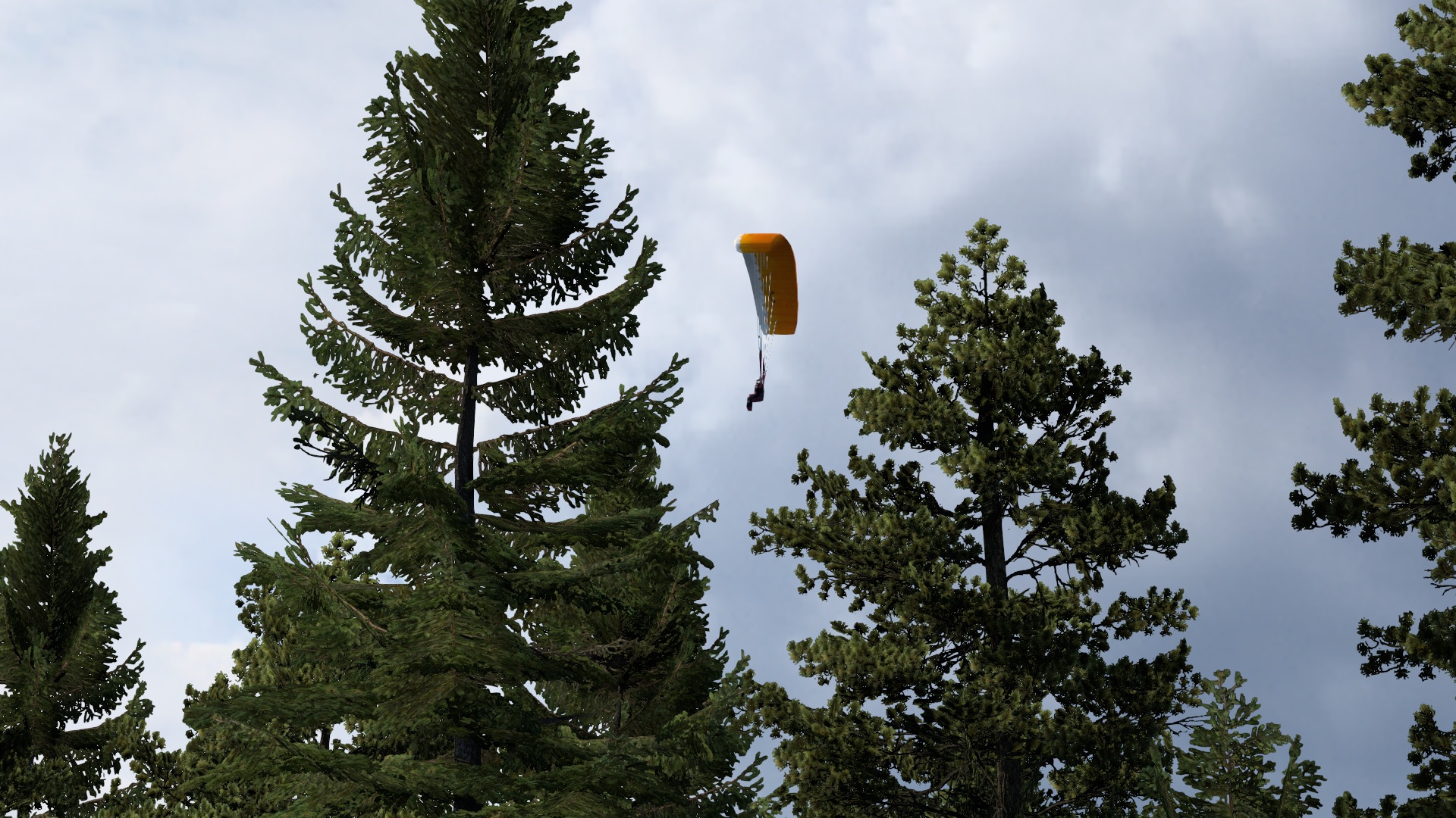 Image by Xerox_Chlena