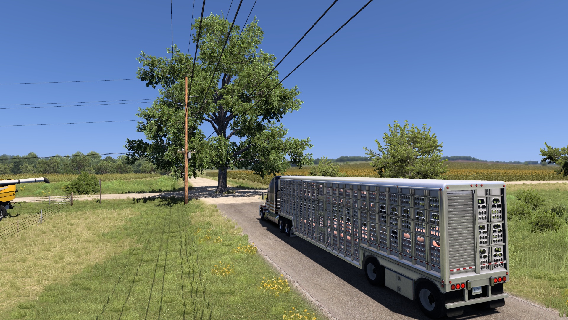 Image by JigglyJames