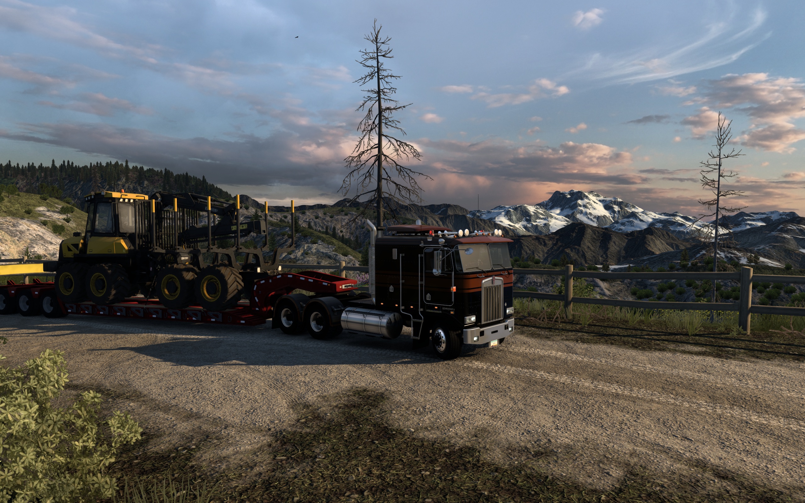 Image by jamin803