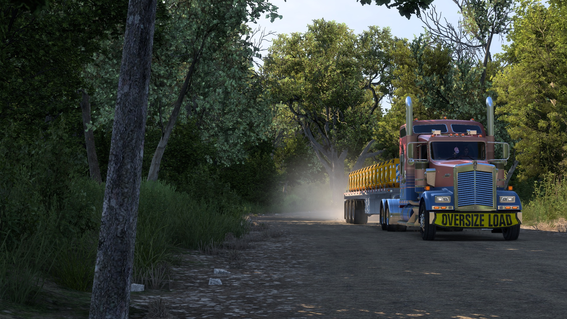 Image by murattaskiran61