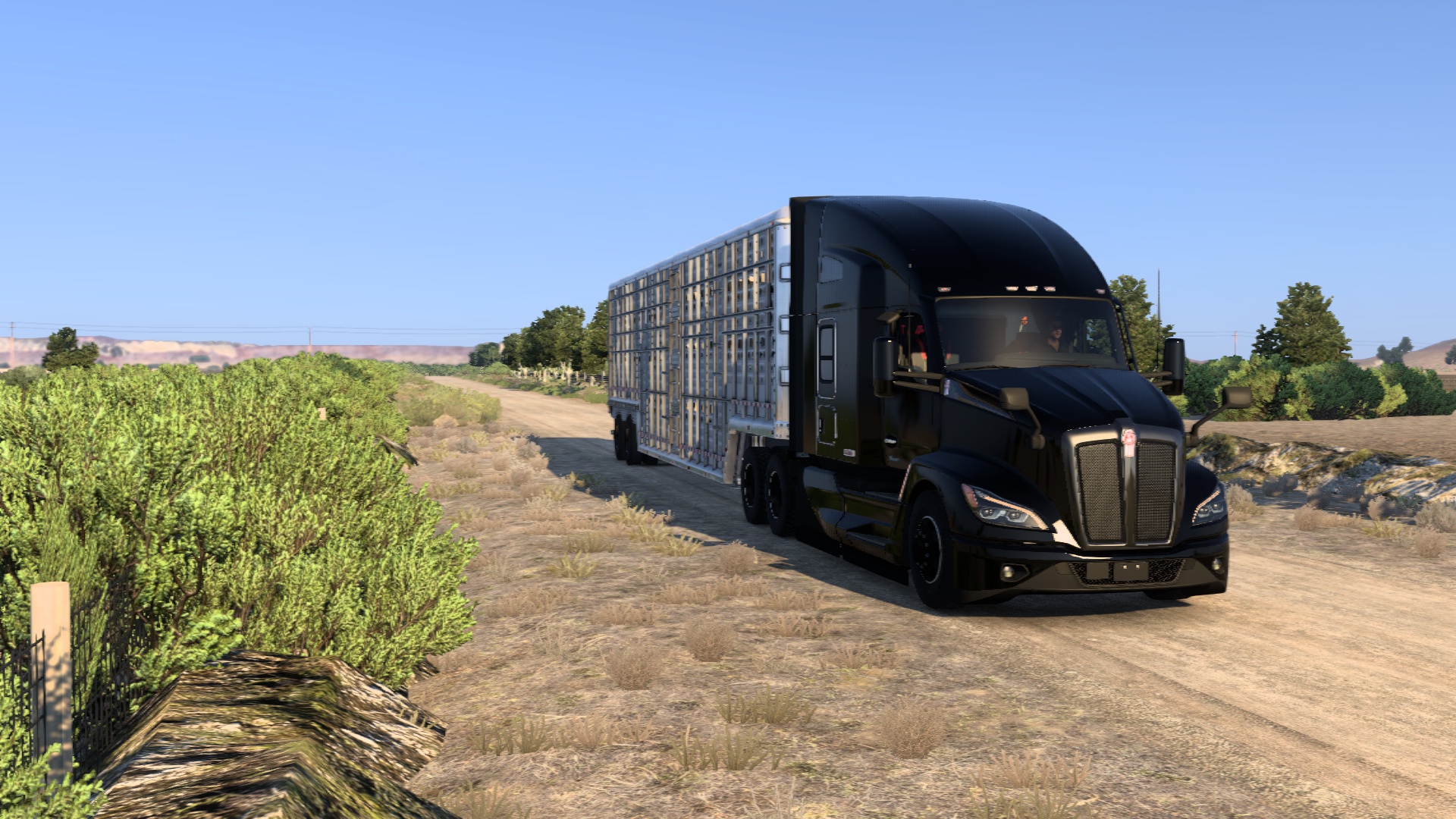 Image by danielrosas441