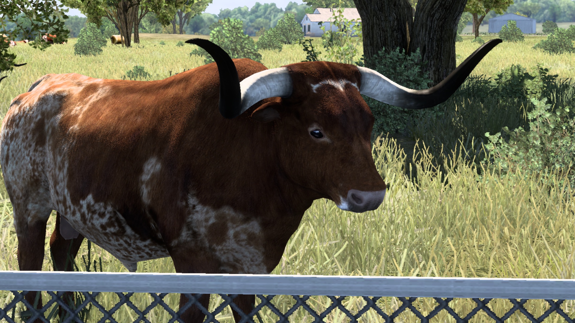 Image by TattedPapaBear