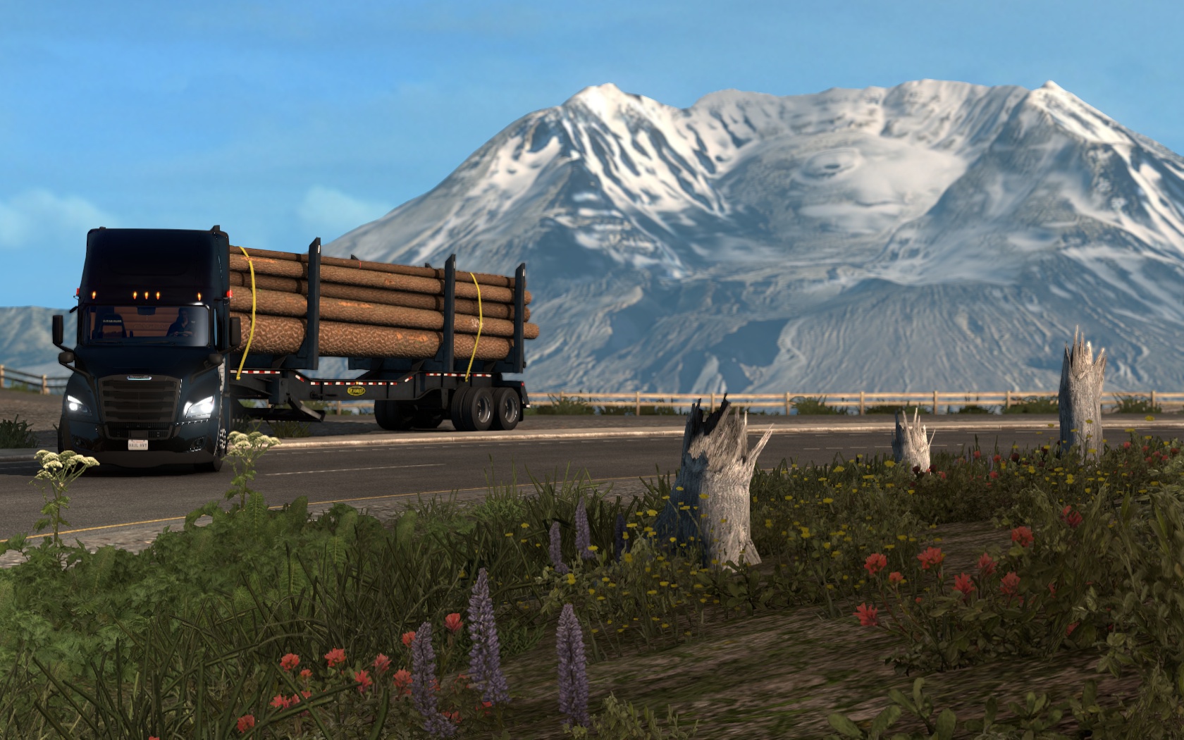 Image by ExaminerIan