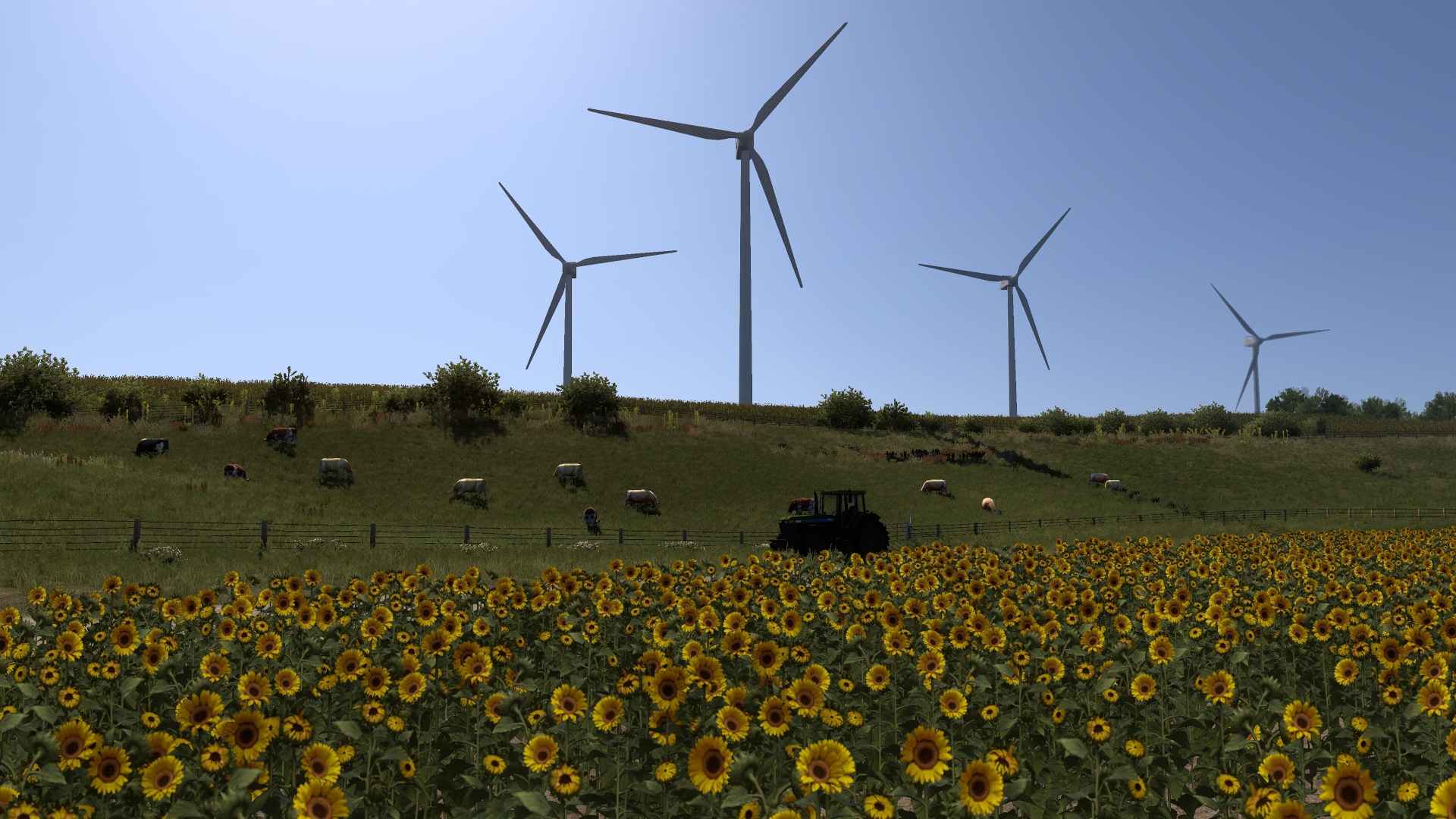 Image by beoyugoslavia