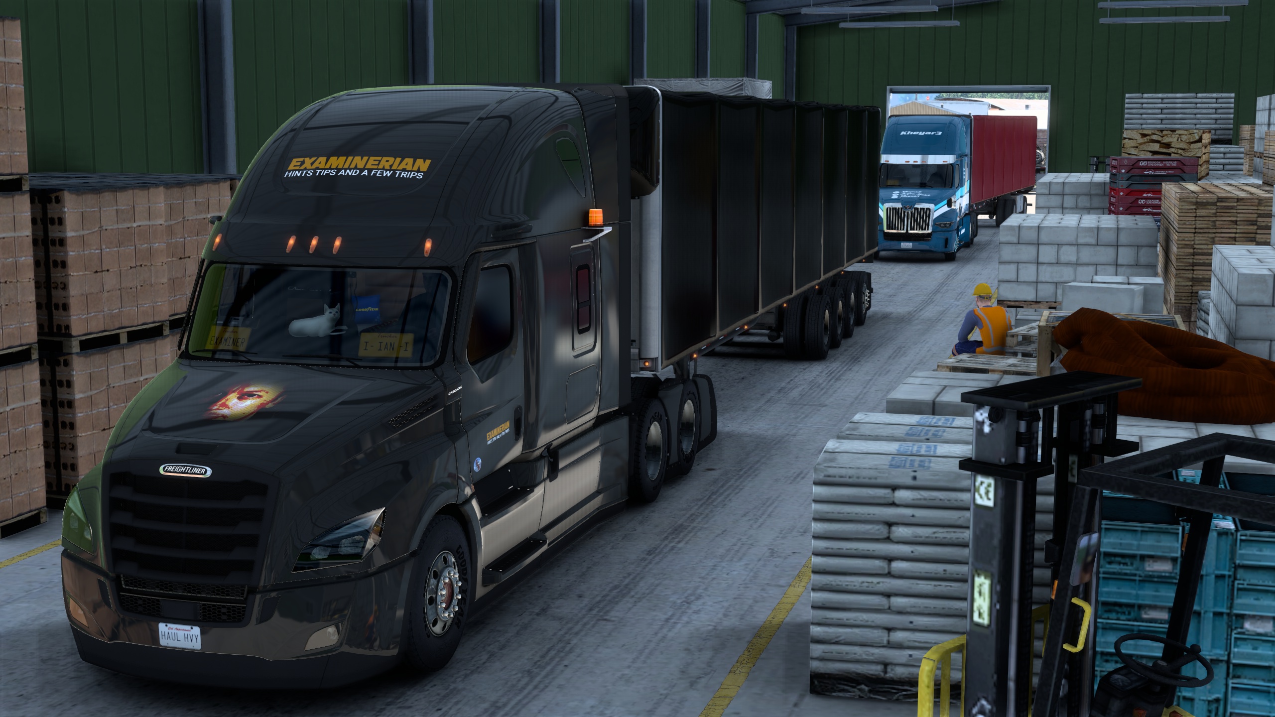 Image by ExaminerIan