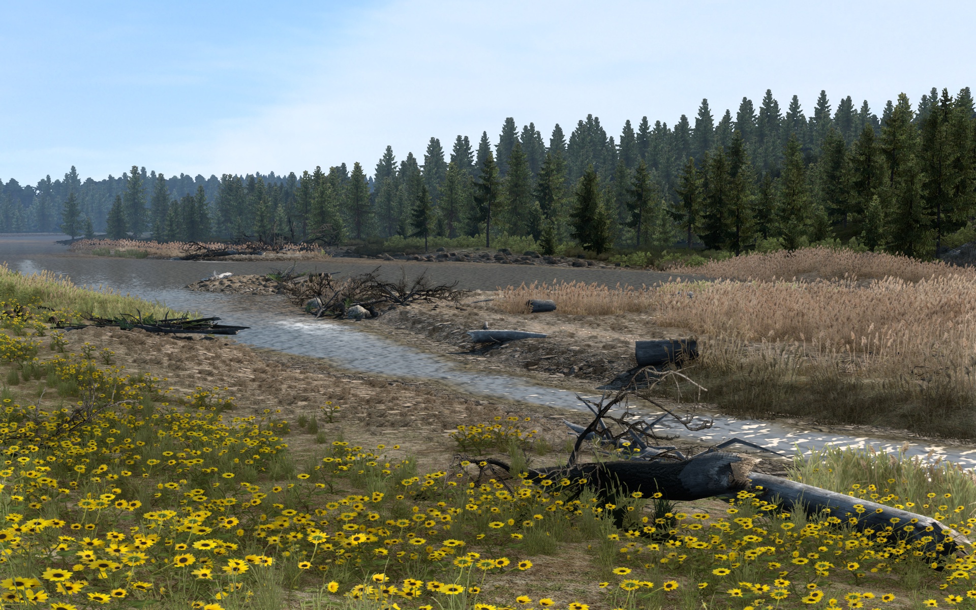 Image by mesu