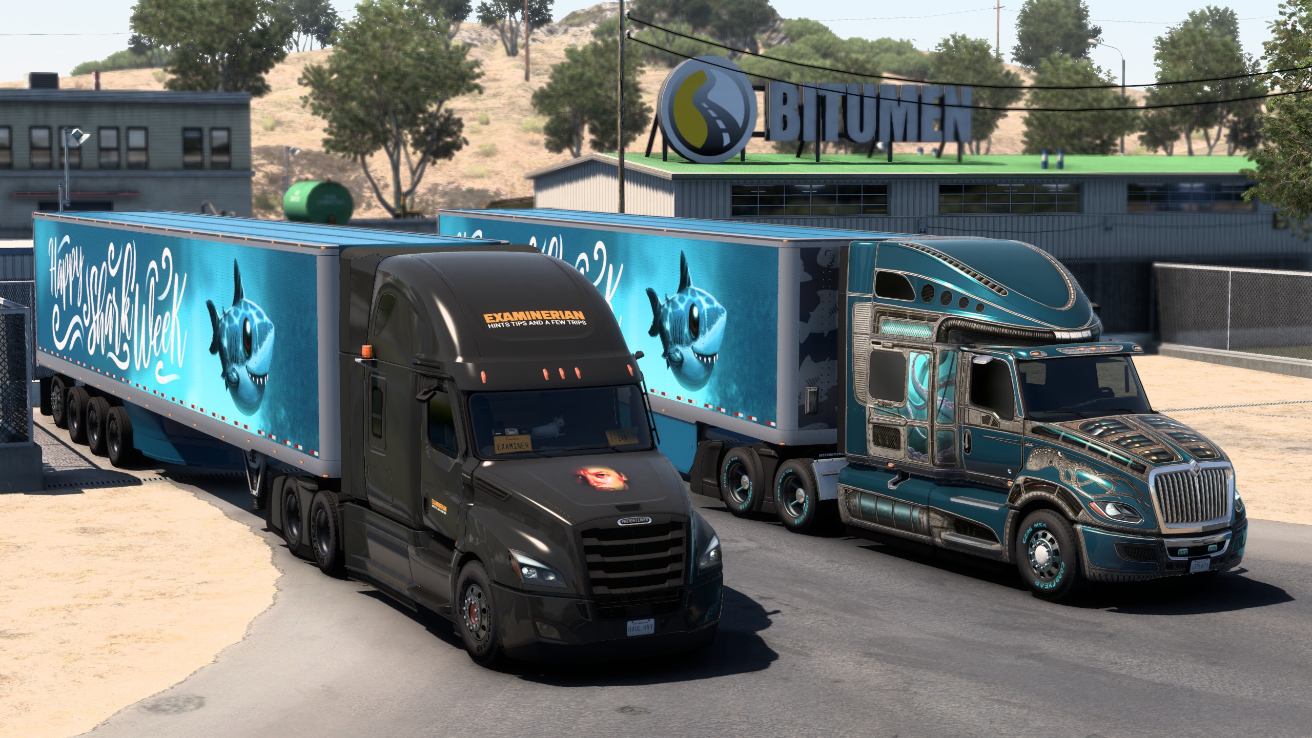 Image by ExaminerIan