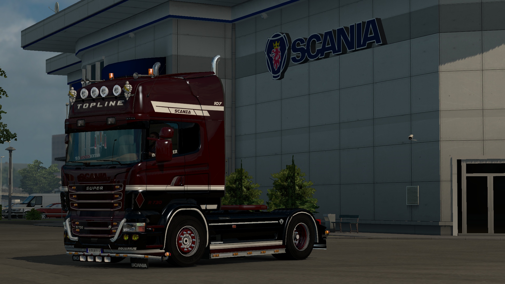 Image by AquariusSkinArt