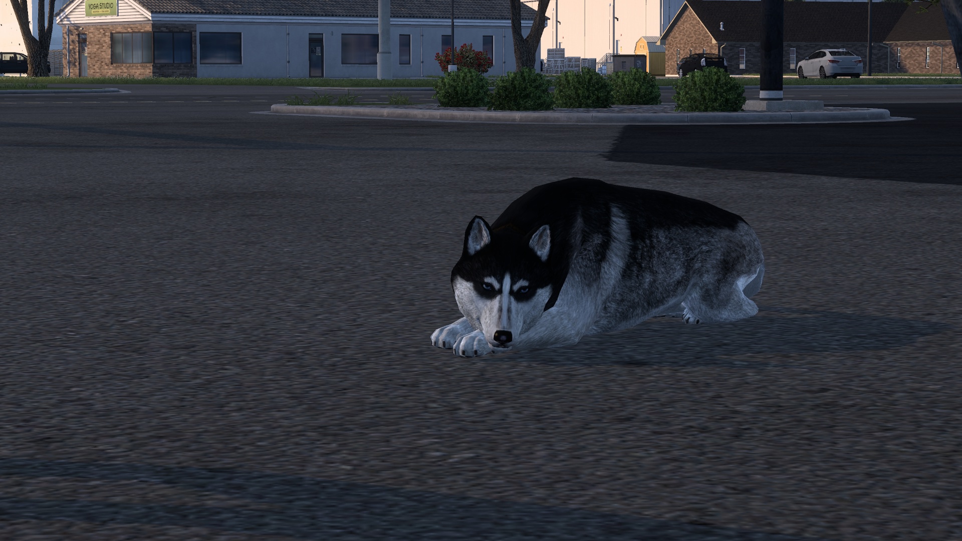 Image by AuddieD2015