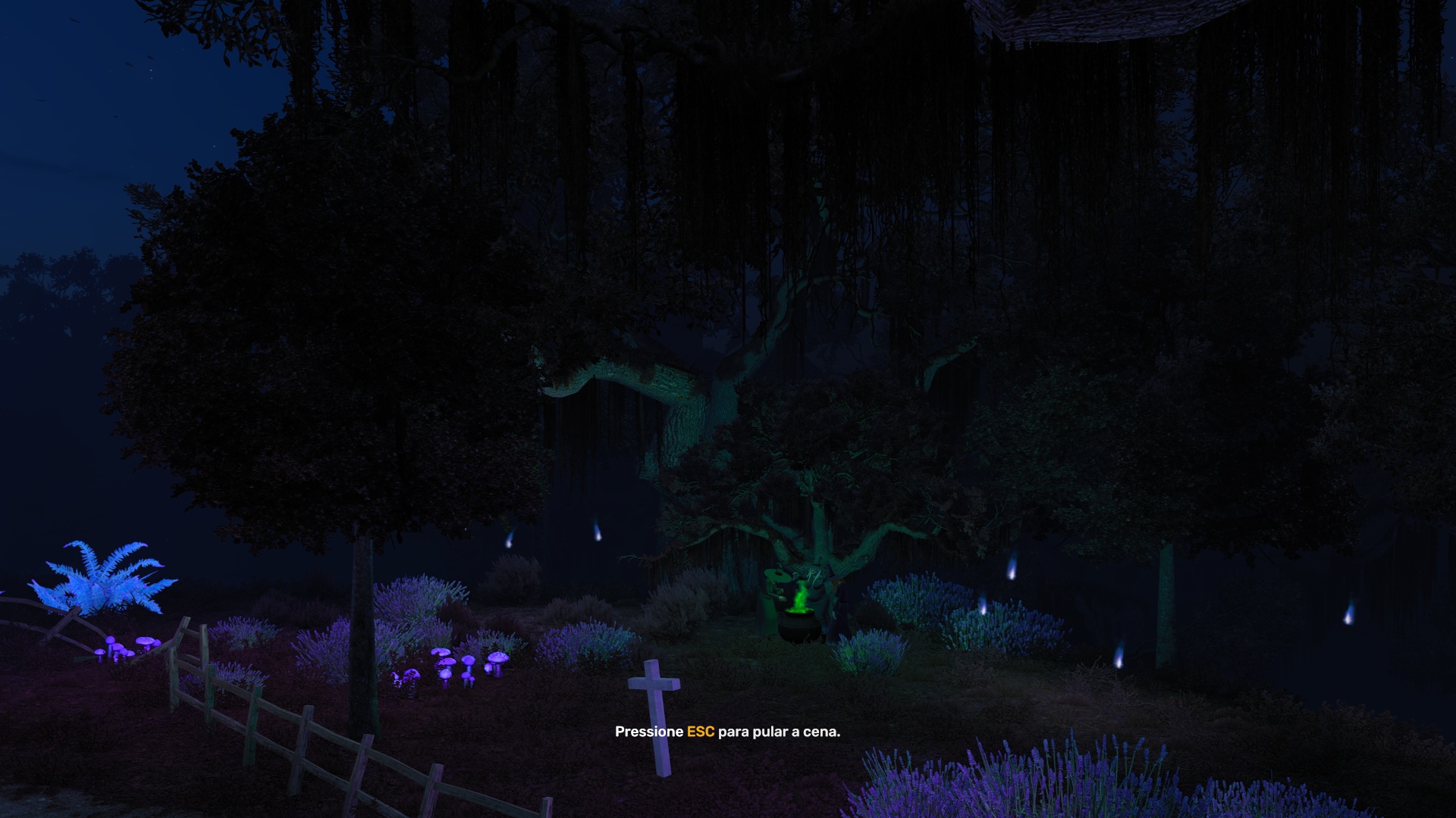 Image by michelcouto33