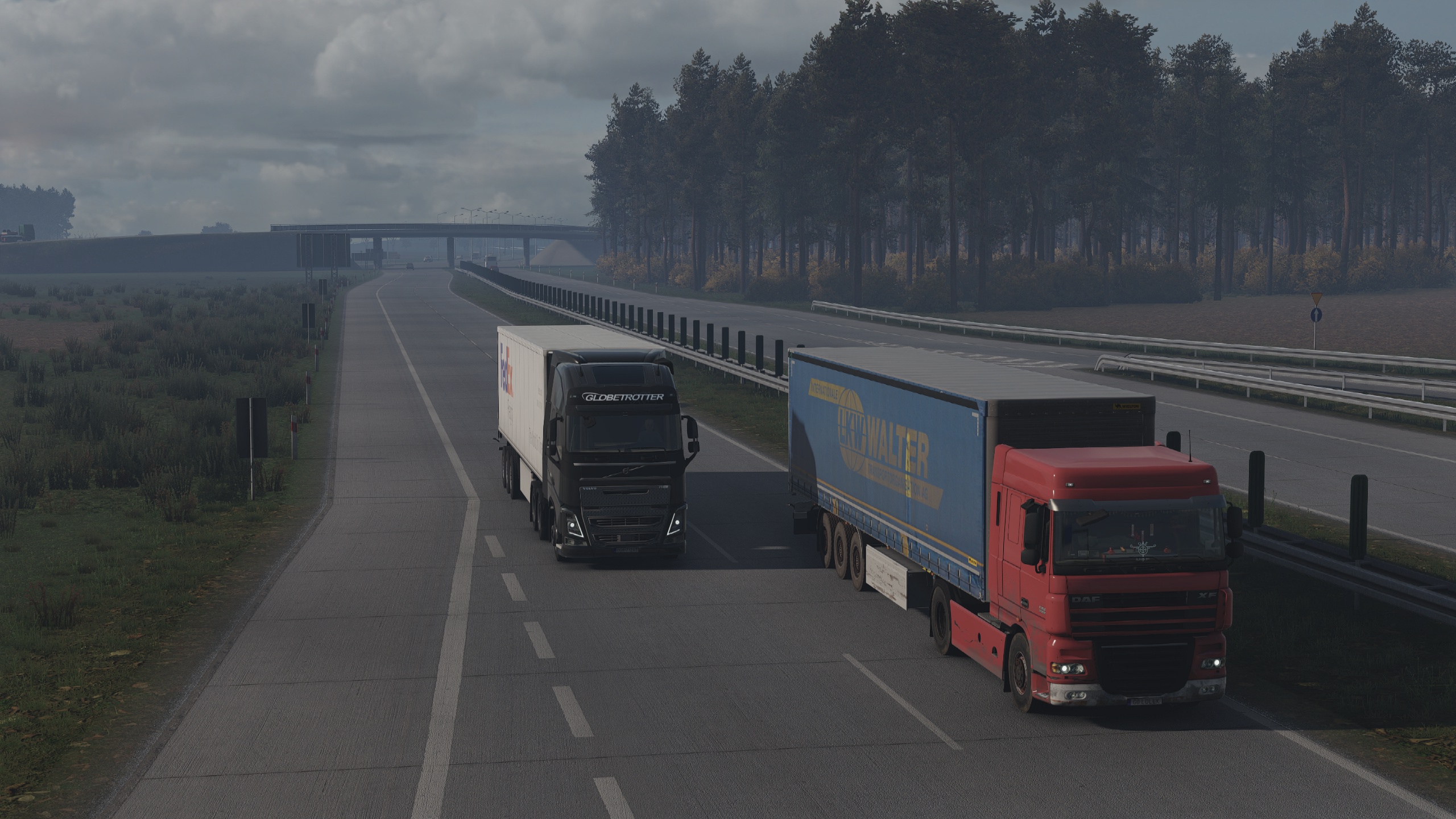 Image by KarolZuchowski