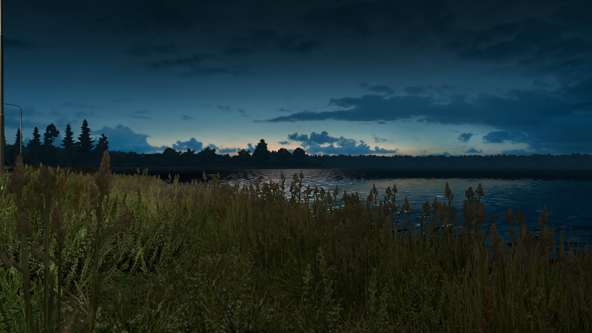 Image by TommyNaperville