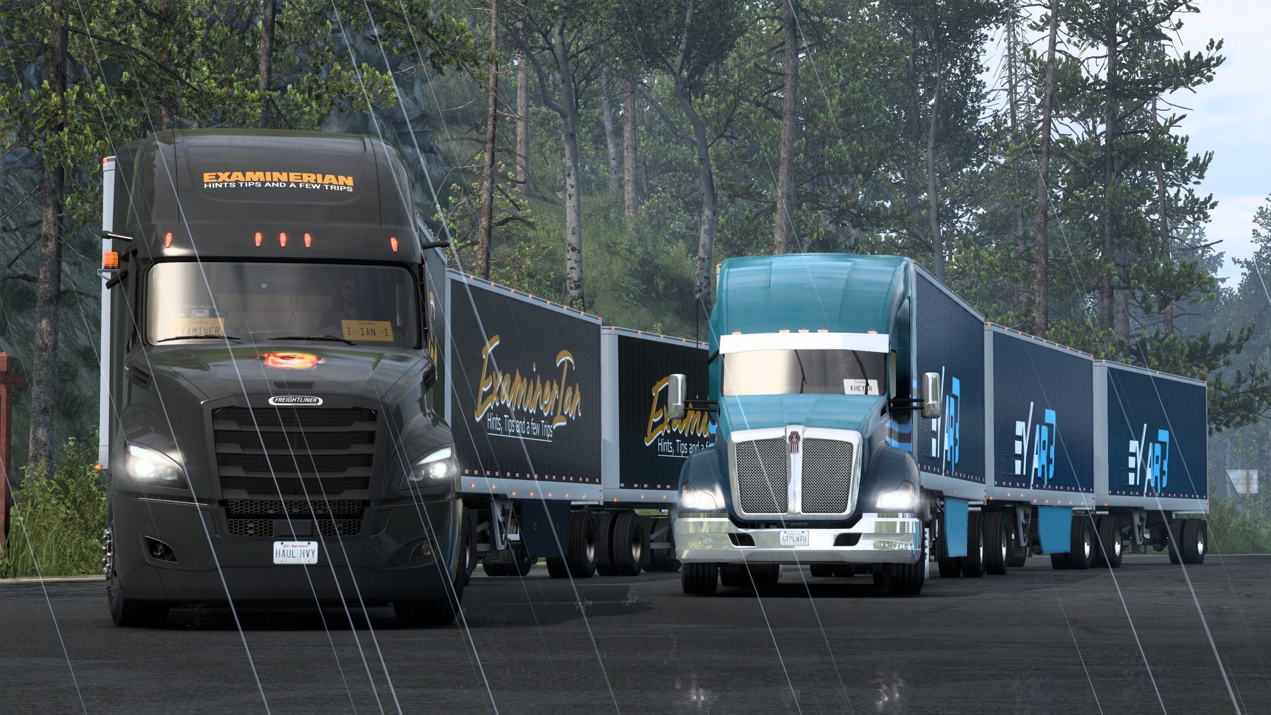 Image by ExaminerIan