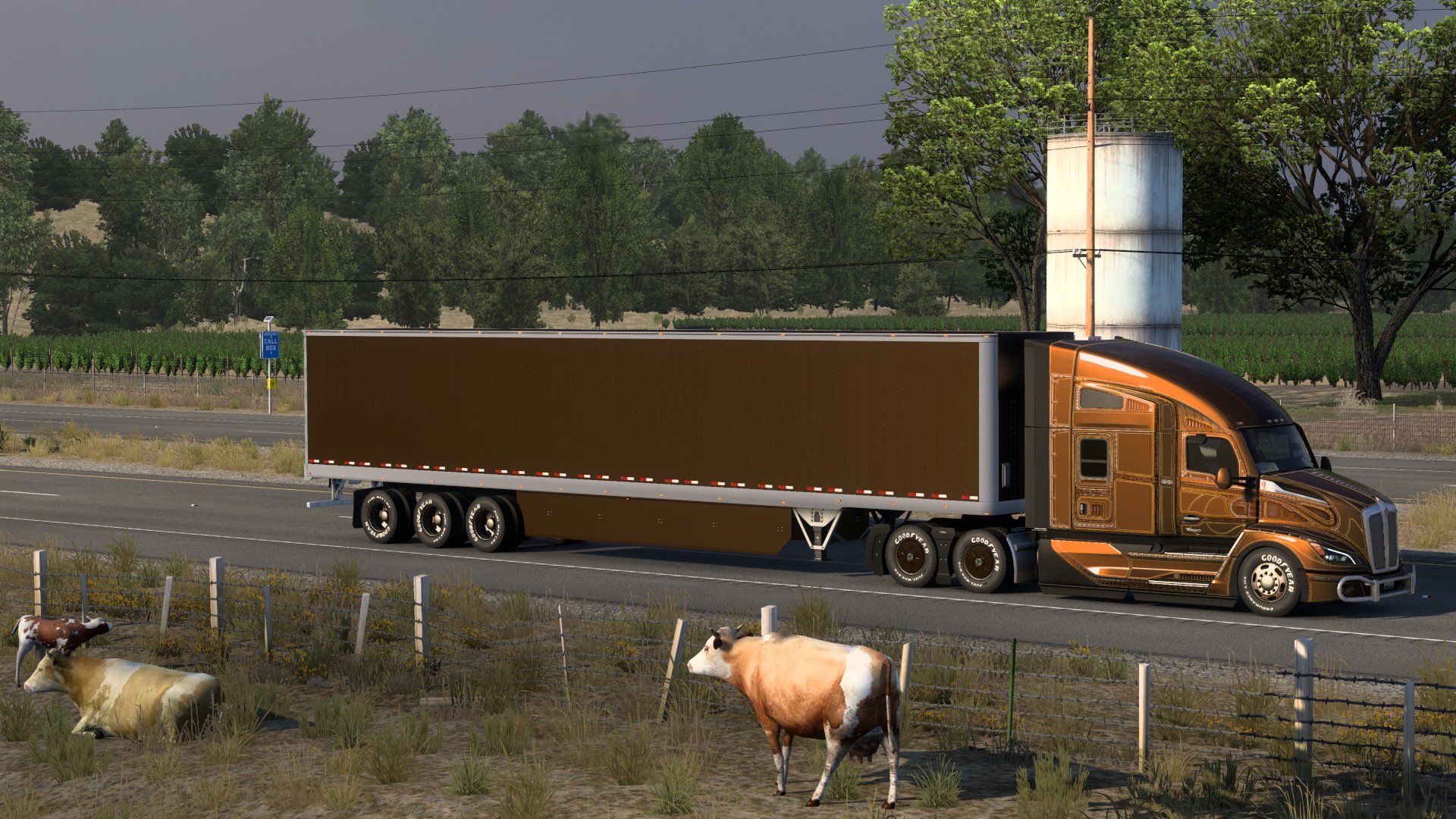 Image by Steve951023