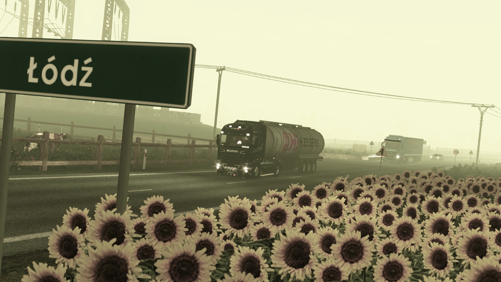 Image by Lucianopazzo